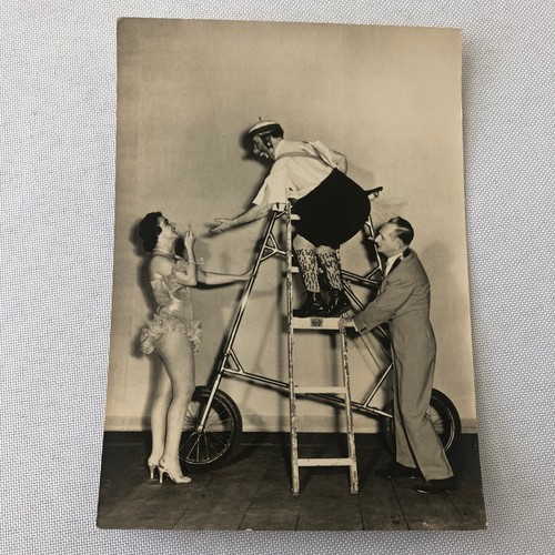 Circus clown performer - circus,