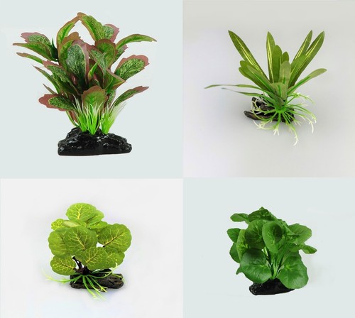 Assorted 10cm silk aquarium - 10cm,