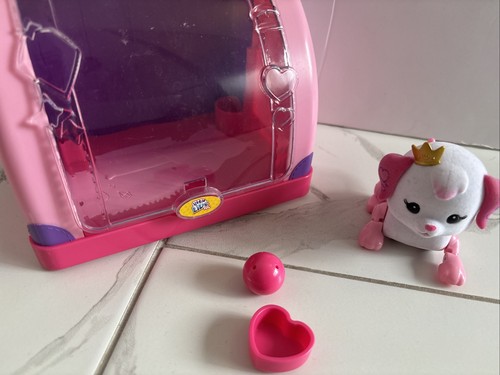 Little live pet dog - live, princes