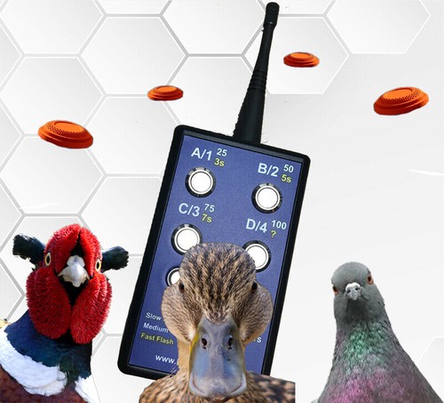 Gamelink lite flush system - gamelink,