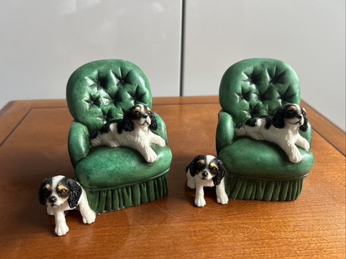 Cavalier king charles spaniel - cavalier,