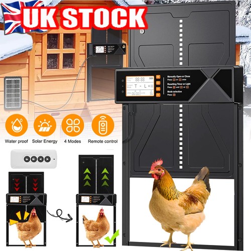 Solar automatic chicken - solar,