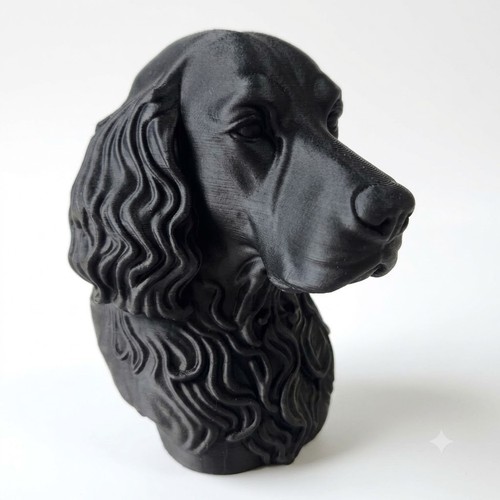 Gordon setter dog bust home - ,