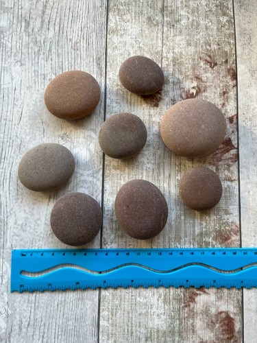 Small flat round beach - small,