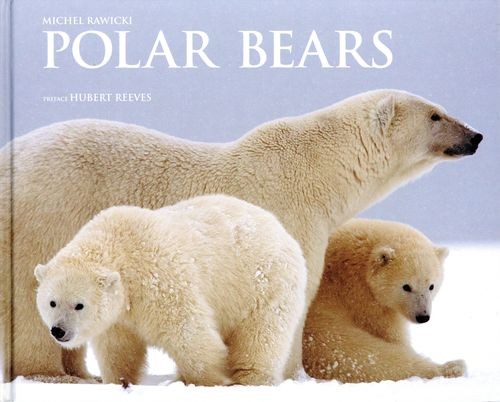 Polar bears - polar,