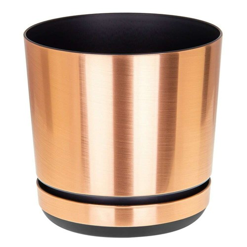 Plant pots flower - plant, planter