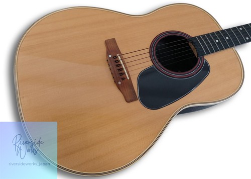 Applause junk acoustic guitar - applause,