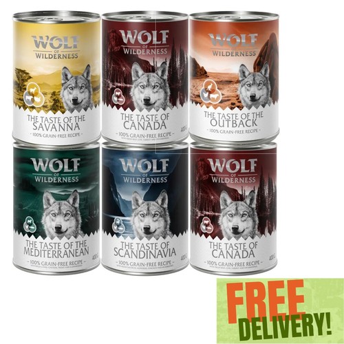 Wolf wilderness adult - wilderness,