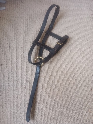 Foal slip headcollar brown - slip,