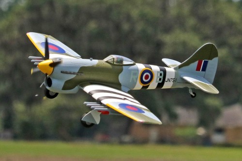 Airplane aircraft warbird - airplane,