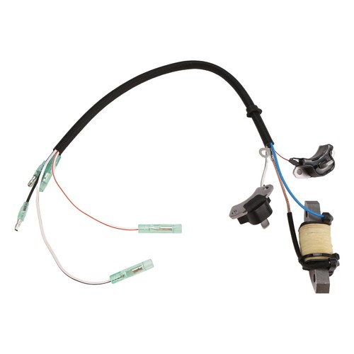 Coil 61n 85543 for 2 - 61n-85543-19,