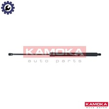 GAS SPRING BOOTCARGO AREA