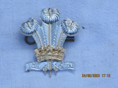 Royal regiment wales - regiment, rrw