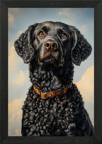 Black curly coated - black, curly-coated