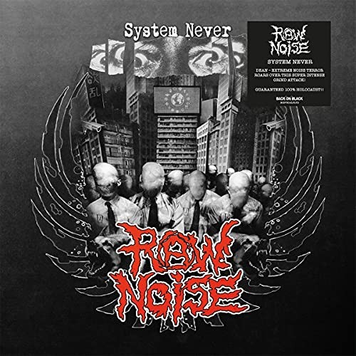 Raw noise system - system,