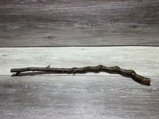 Wand hazel wood - .,