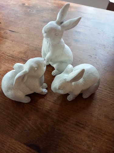 Set bunny rabbits exc - bunny,