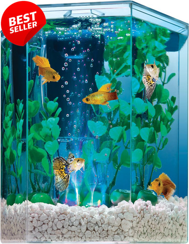 Gallon led aquarium kit - gallon,