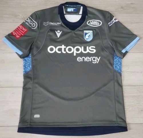 Cardiff blues rugby european - cardiff,