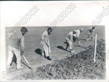 1931 Russian Farmers Till