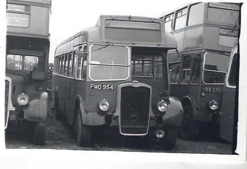 Bus photo fmo954 thames - ex,