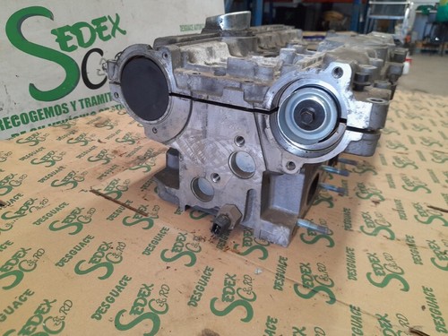 1001005 cylinder head - , 1019680