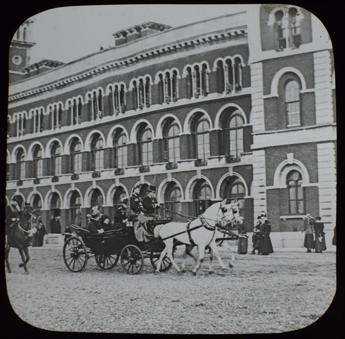 Queen victoria horse - queen, in