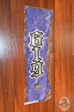 WWE Rey Mysterio Purple &