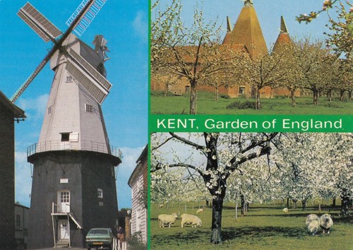 Postcard kent garden - kent, of