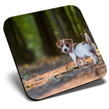 Square Single Coaster - Jack Russell Terrier Puppy Dog  #15758