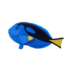 Blue Tang Fish Toy plastic animal sea toy figure model fish bath marine