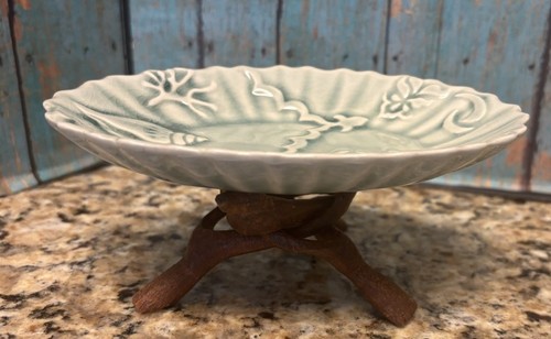 Anthropology shell ceramic - anthropology,