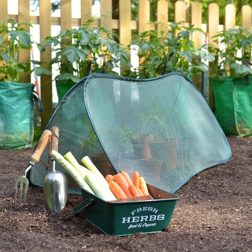 25m 5m h allotment - 1.25m, l