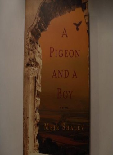 Pigeon and boy - boy,meir, shalev