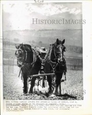 1974 Press Photo Clarence