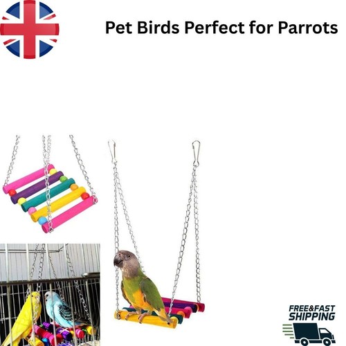 Pet bird parrot - 1x,