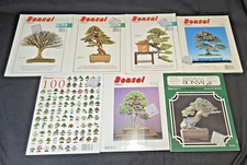 Lot of 7 - Bonsai