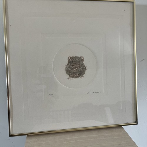 Juan ricardo limited signed - -, limited,