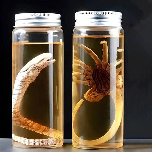 Alien xenomorph facehugger - alien,