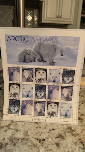 Artic animals 33c - artic,