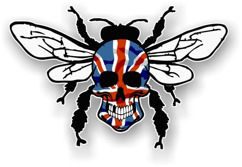 Bumble bee skull insect - , union