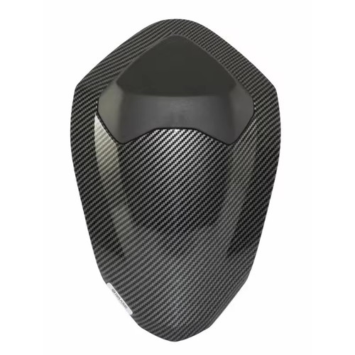 Motorcycle pillion rear - motorcycle,