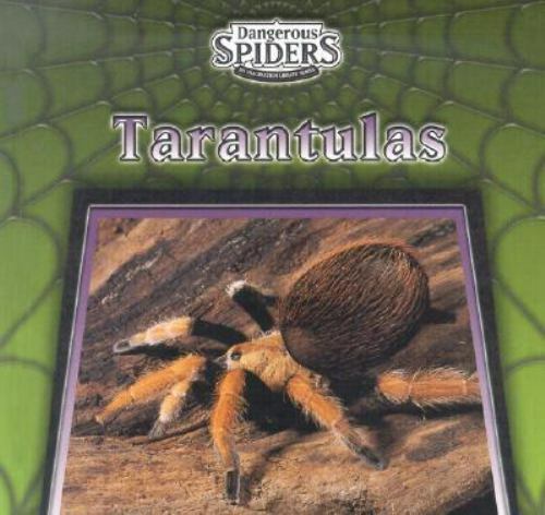 Tarantulas - (dangerous, spiders)