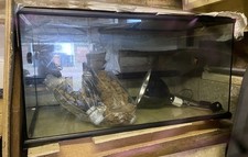 Black framed  glass Vivarium