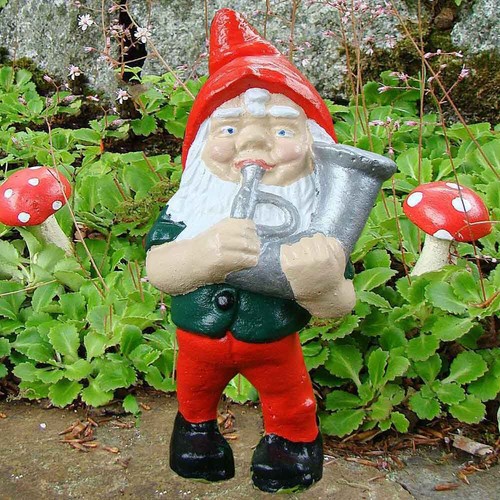 Garden musician gnome ted - garden,