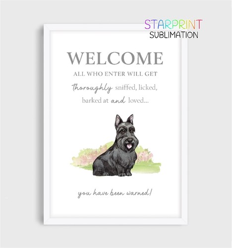 Scottish terrier unframed - scottish,