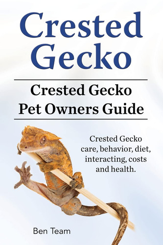 Crested gecko - crested,