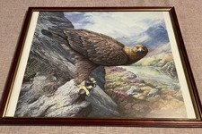 Stunning Golden Eagle Oil