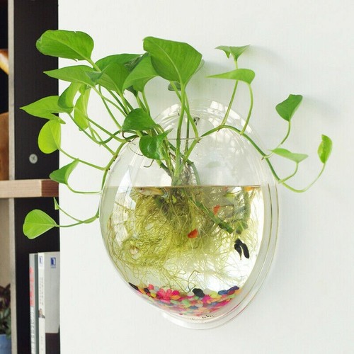 Acrylic wall mounted hanging - acrylic,