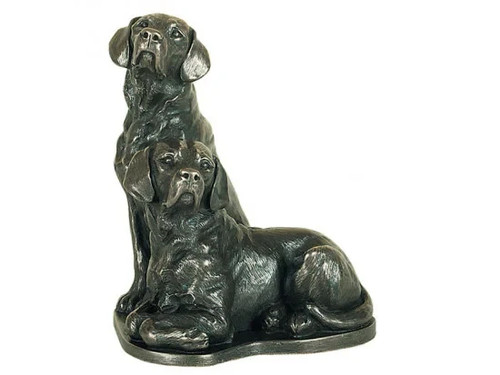 Genesis pair labradors cold - genesis, of